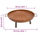 Fire Pit 26.6"x22.8"x8.9" Steel