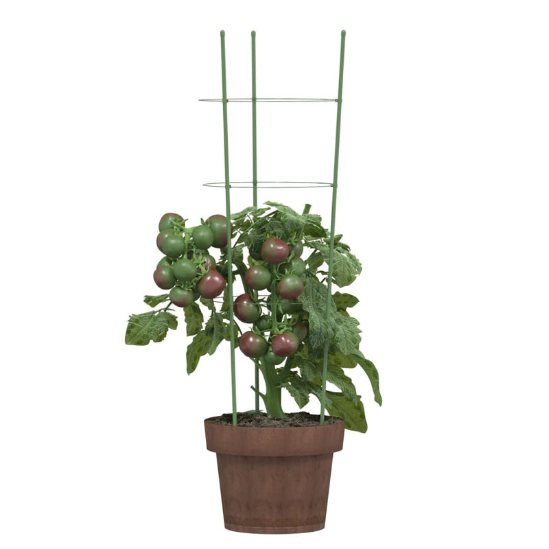 Garden Plant Supports with 3 Rings 5 pcs Green 23.6" Steel