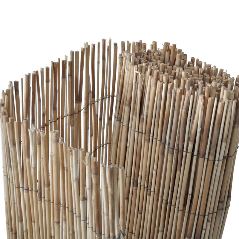 Garden Fence 236.2"x39.4" Reed